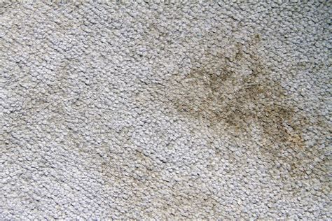 How to Safely Clean High-Traffic Areas in Mascot Carpets